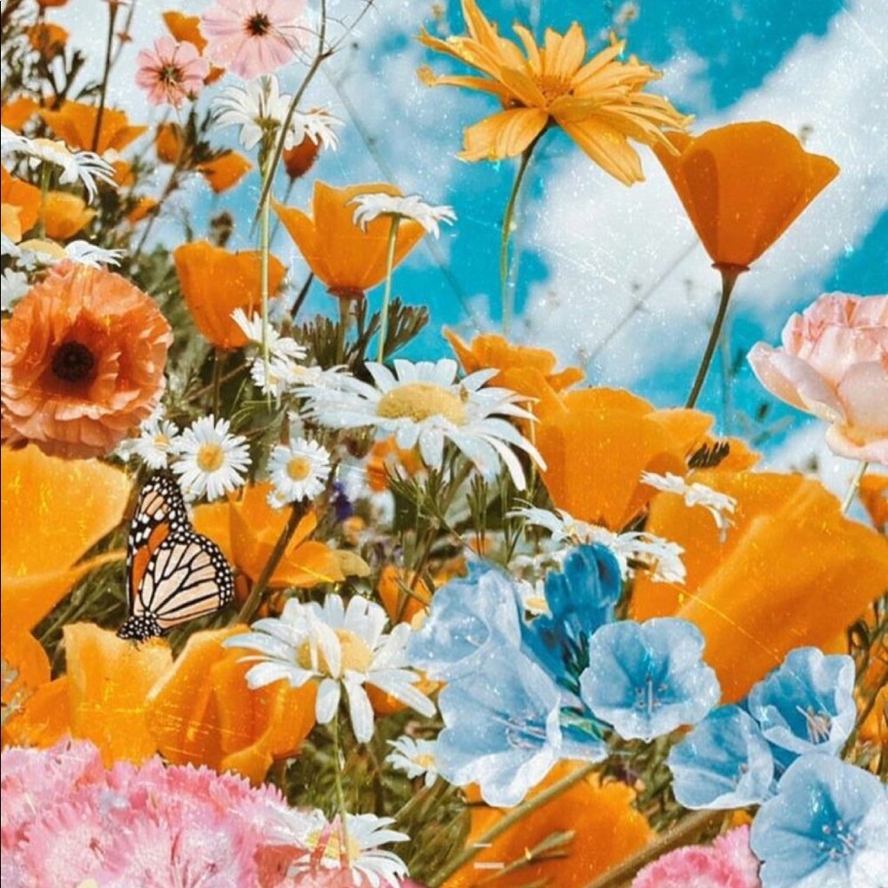 Meet your Posher, Aaliyah